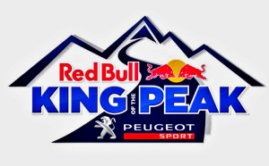King-of-the-Peak-2013-Peugeot-208-T16