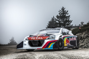 Sebastien-Loeb-Peugeot-208-T16-Pikes-Peak  (1)